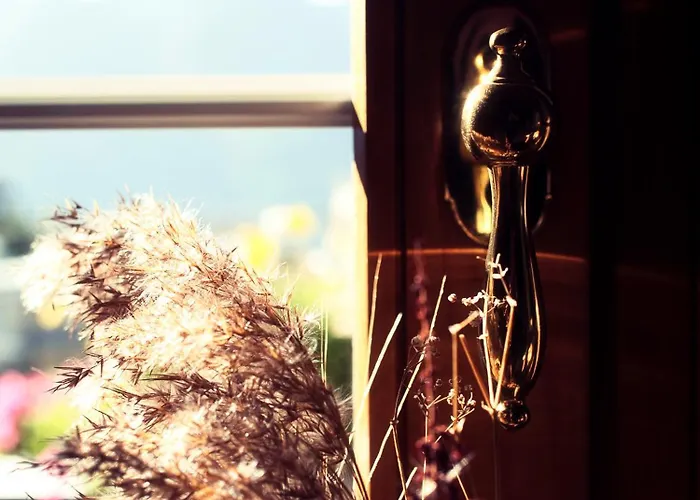 ホテル Boutique La ベットメラルプ